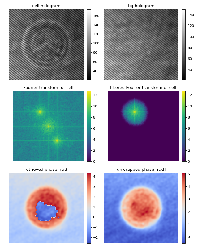 _images/hologram_cell.png
